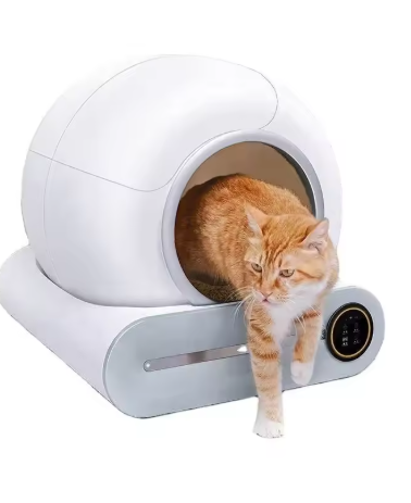 Un chat sort de la litière automatique