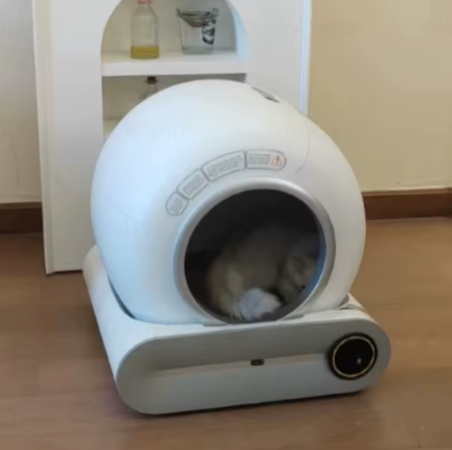 Litière automatique installée à la maison